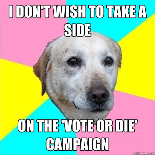 i don't wish to take a side on the 'vote or die' campaign  
