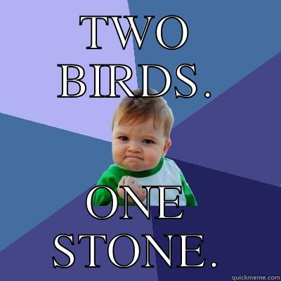 TWO BIRDS. ONE STONE. Success Kid
