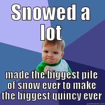 SNOWED A LOT MADE THE BIGGEST PILE OF SNOW EVER TO MAKE THE BIGGEST QUINCY EVER Success Kid
