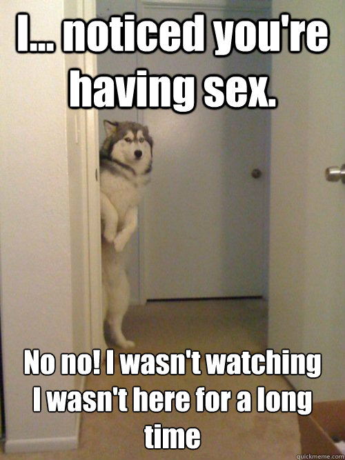 I... noticed you're having sex. No no! I wasn't watching
I wasn't here for a long time - I... noticed you're having sex. No no! I wasn't watching
I wasn't here for a long time  awkward husky