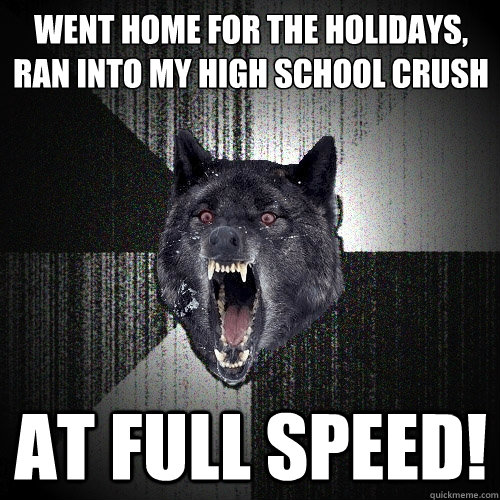 Went home for the holidays, ran into my high school crush AT full speed!  Insanity Wolf