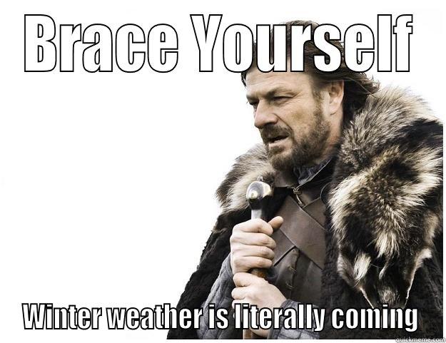 Brace Yourself - BRACE YOURSELF WINTER WEATHER IS LITERALLY COMING Imminent Ned