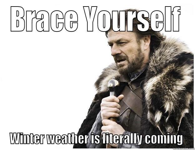BRACE YOURSELF WINTER WEATHER IS LITERALLY COMING Imminent Ned