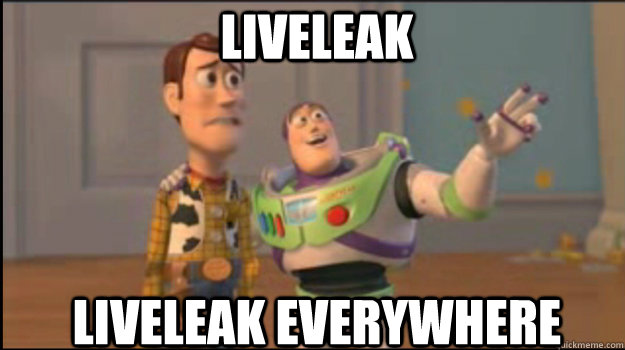 LIVELEAK LIVELEAK EVERYWHERE   Buzz and Woody
