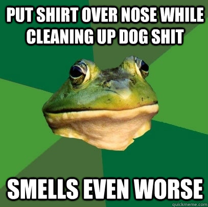 Put Shirt over nose while cleaning up dog shit smells even worse  Foul Bachelor Frog