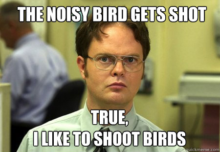the noisy bird gets shot true,  
I like to shoot birds  Schrute