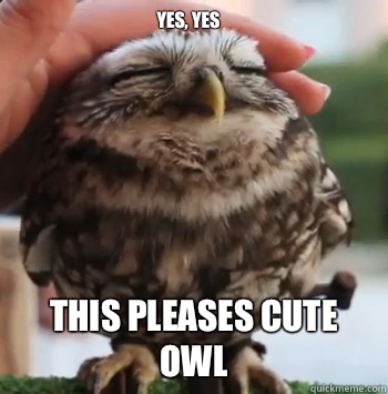 YES, yes THis pleases cute owl  