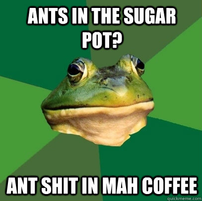 ants in the sugar pot? ant shit in mah coffee  Foul Bachelor Frog