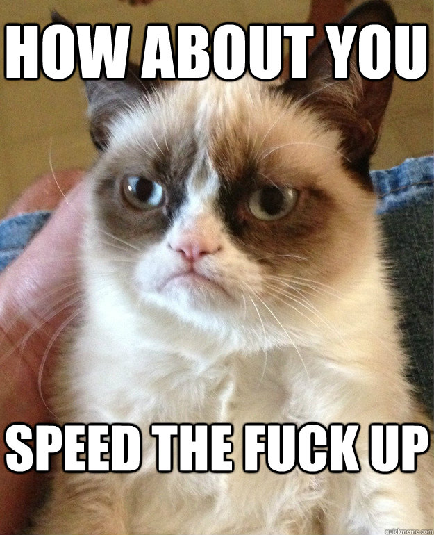 How about you speed the fuck up - How about you speed the fuck up  Grumpy Cat