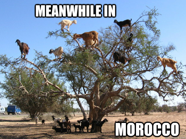 Meanwhile in Morocco - Meanwhile in Morocco  Misc