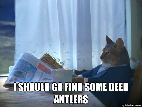  I should go find some deer antlers  Contemplative Breakfast Cat