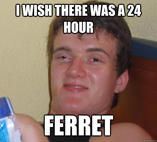 I wish there was a 24 hour Ferret  10 Guy