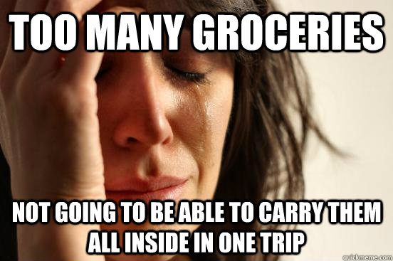 too many groceries  not going to be able to carry them all inside in one trip  First World Problems
