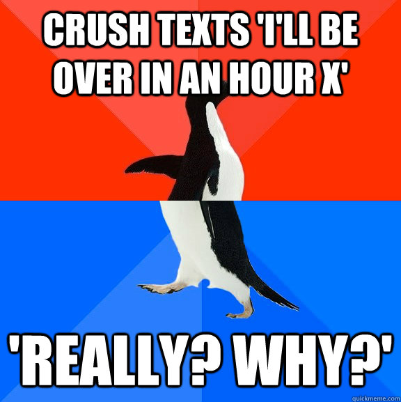 Crush texts 'I'll be over in an hour x' 'Really? Why?'  Socially Awesome Awkward Penguin