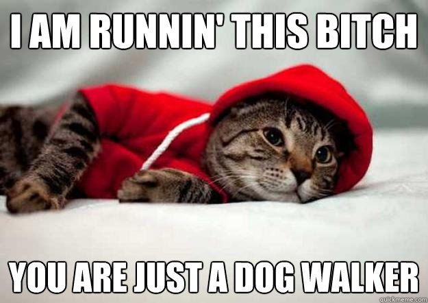 I am runnin' this bitch
 you are just a dog walker - I am runnin' this bitch
 you are just a dog walker  NerdcoreKitty