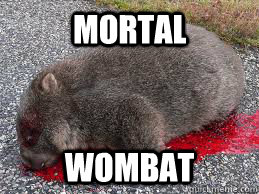 mortal wombat - mortal wombat  Misc
