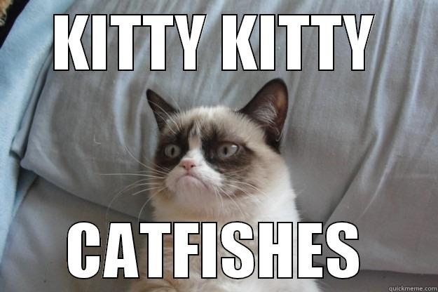 KITTY KITTY CATFISHES Grumpy Cat