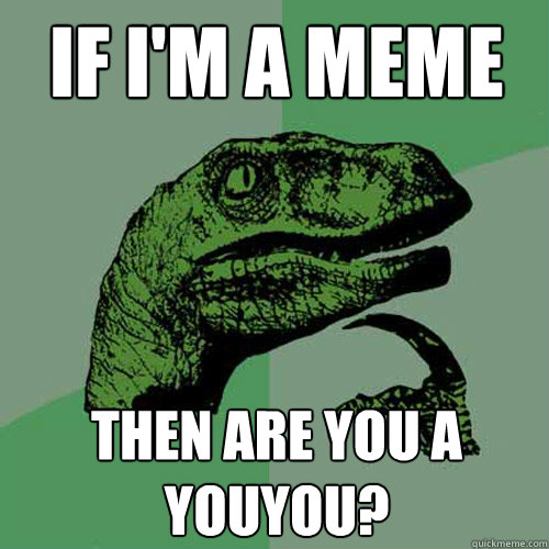 if i'm a meme then are you a youyou?  Philosoraptor