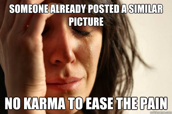 someone already posted a similar picture no karma to ease the pain  First World Problems