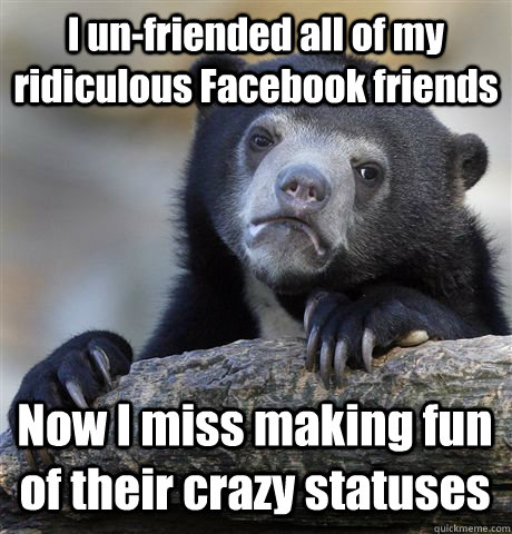 I un-friended all of my ridiculous Facebook friends Now I miss making fun of their crazy statuses  Confession Bear
