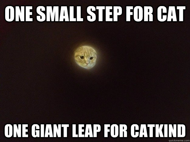 One small step for cat one giant leap for catkind - One small step for cat one giant leap for catkind  Moon Cat