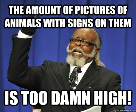The amount of pictures of animals with signs on them is too damn high! - The amount of pictures of animals with signs on them is too damn high!  Too Damn High