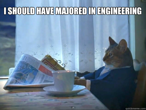 I should have majored in engineering  The One Percent Cat