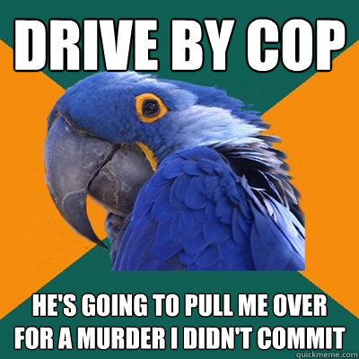Drive by cop He's going to pull me over for a murder I didn't commit  Paranoid Parrot