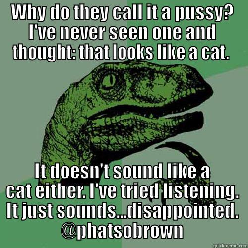 WHY DO THEY CALL IT A PUSSY? I'VE NEVER SEEN ONE AND THOUGHT: THAT LOOKS LIKE A CAT.  IT DOESN'T SOUND LIKE A CAT EITHER. I'VE TRIED LISTENING. IT JUST SOUNDS...DISAPPOINTED. @PHATSOBROWN Philosoraptor