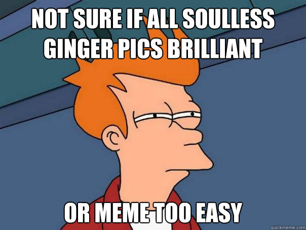 Not sure if all soulless ginger pics brilliant or meme too easy  Futurama Fry
