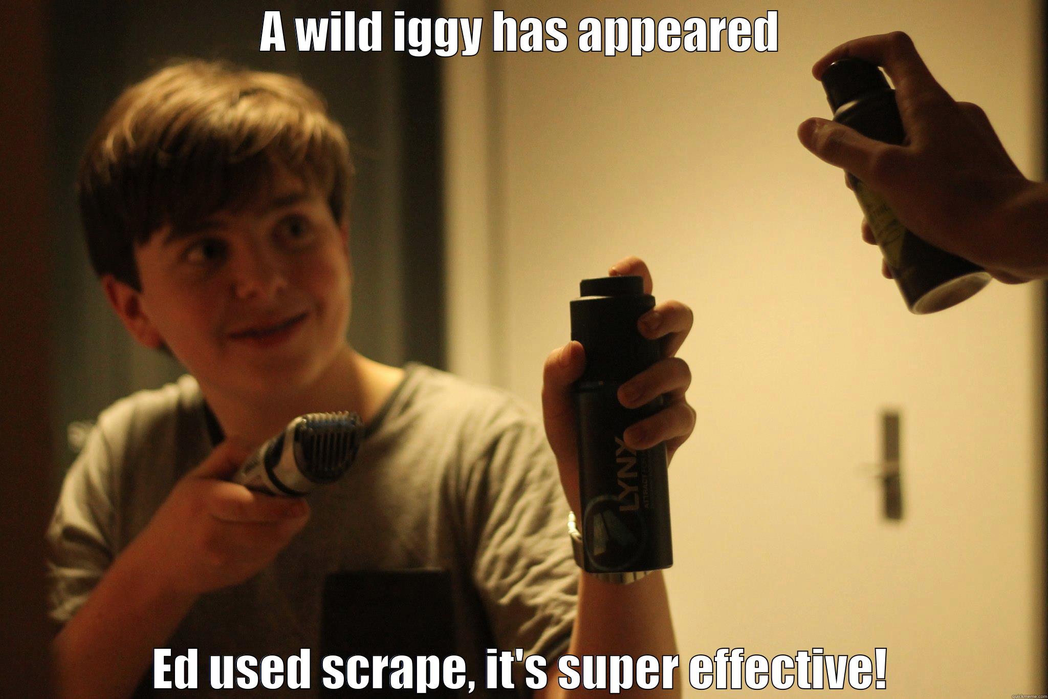 A WILD IGGY HAS APPEARED ED USED SCRAPE, IT'S SUPER EFFECTIVE! Misc