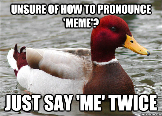 Unsure of how to pronounce 'meme'? Just say 'me' twice - Unsure of how to pronounce 'meme'? Just say 'me' twice  Malicious Advice Mallard