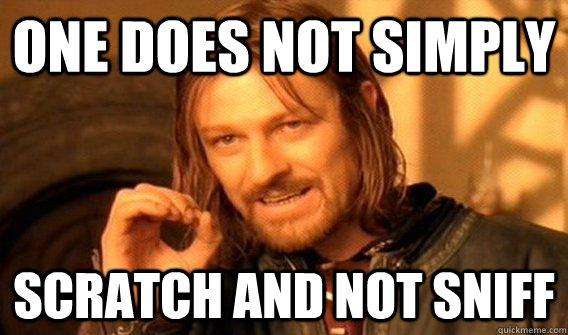 One does not simply scratch and not sniff  One does not simply beat skyrim