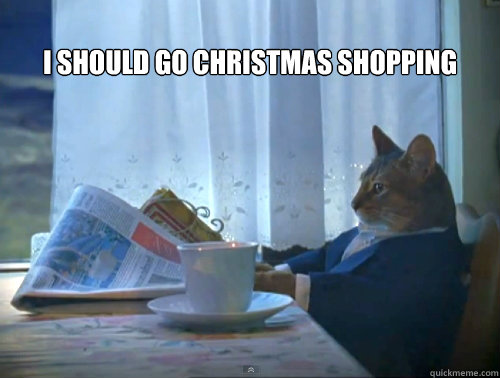 
I should go Christmas shopping  The One Percent Cat