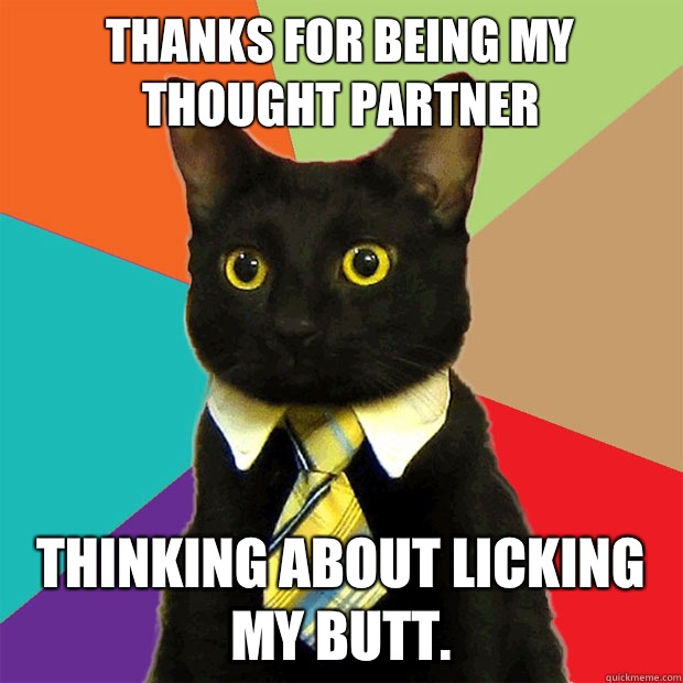 Thanks for being my thought partner  Thinking about licking my butt.  Business Cat