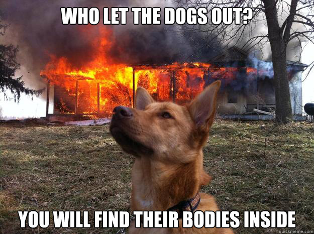 who let the dogs out? You will find their bodies inside  Bad Dog