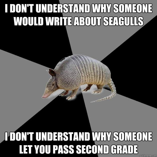 I don't understand why someone would write about seagulls I don't understand why someone let you pass second grade  English Major Armadillo