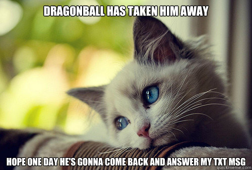 Dragonball has taken him away hope one day he's gonna come back and answer my txt msg  First World Problems Cat