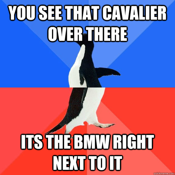 you see that cavalier over there its the bmw right next to it  Socially Awkward Awesome Penguin