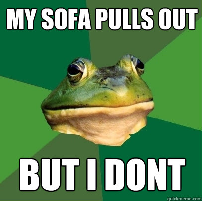 My Sofa pulls out but i dont  Foul Bachelor Frog