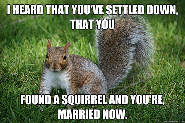 I heard that you've settled down, that you found a squirrel and you're, married now.  Adele