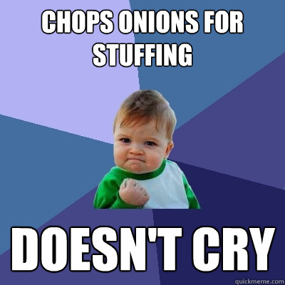 Chops onions for stuffing doesn't cry - Chops onions for stuffing doesn't cry  Success Kid
