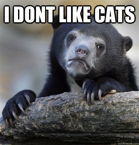 I dont like cats  Confession Bear