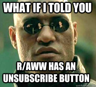 what if i told you R/aww has an unsubscribe button  Matrix Morpheus