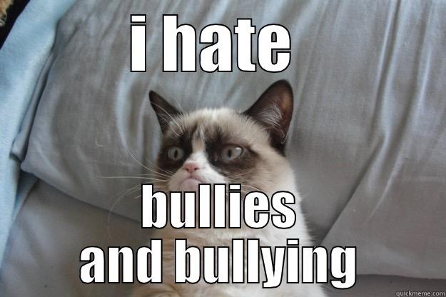 ok :) l - I HATE  BULLIES AND BULLYING Grumpy Cat