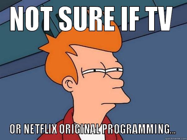 NOT SURE IF TV OR NETFLIX ORIGINAL PROGRAMMING... Futurama Fry