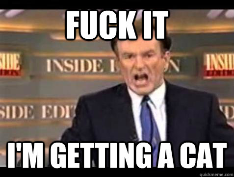 Fuck it I'm getting a cat  Bill OReilly Fuck It