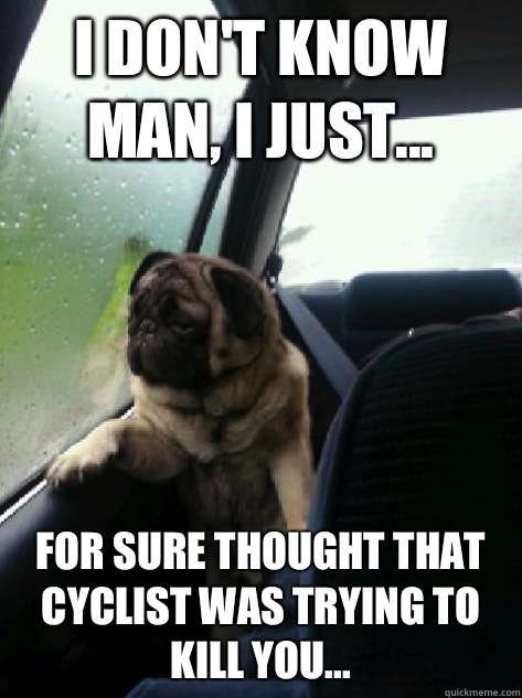 I don't know man, I just... For sure thought that cyclist was trying to kill you... - I don't know man, I just... For sure thought that cyclist was trying to kill you...  Introspective Pug