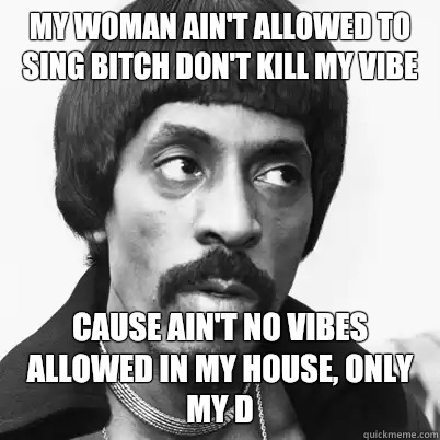 My woman ain't allowed to sing Bitch Don't Kill My Vibe cause ain't no vibes allowed in my house, only my D  Ike Turner