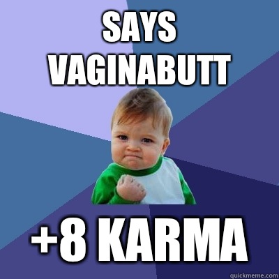 Says vaginabutt +8 karma  Success Kid